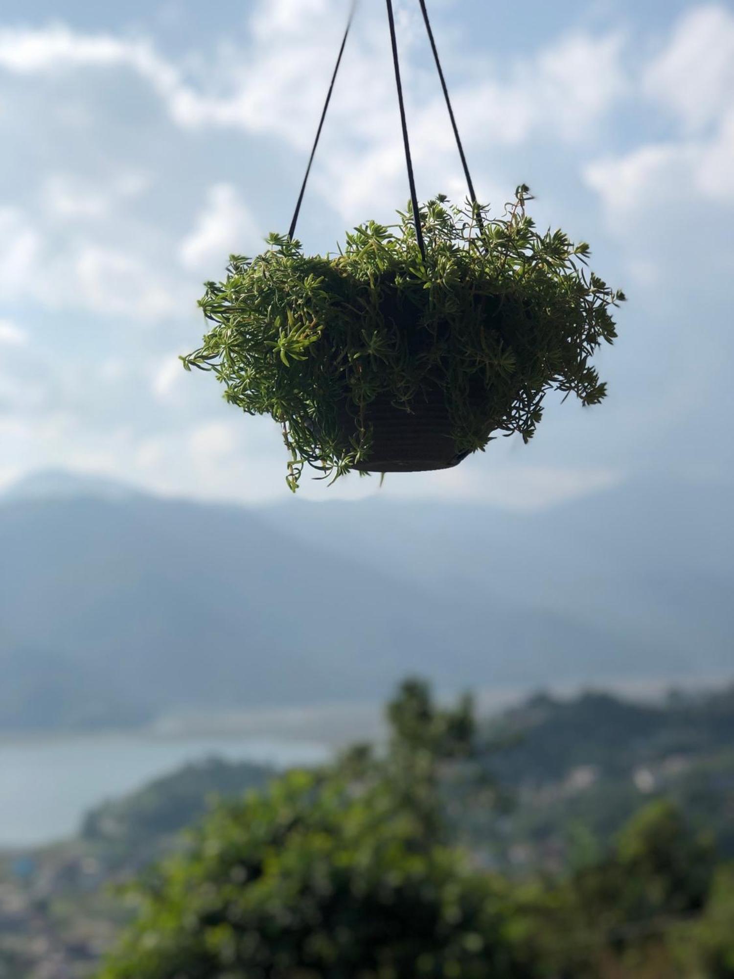 הוילה Kāskī Into The Wild Pokhara מראה חיצוני תמונה
