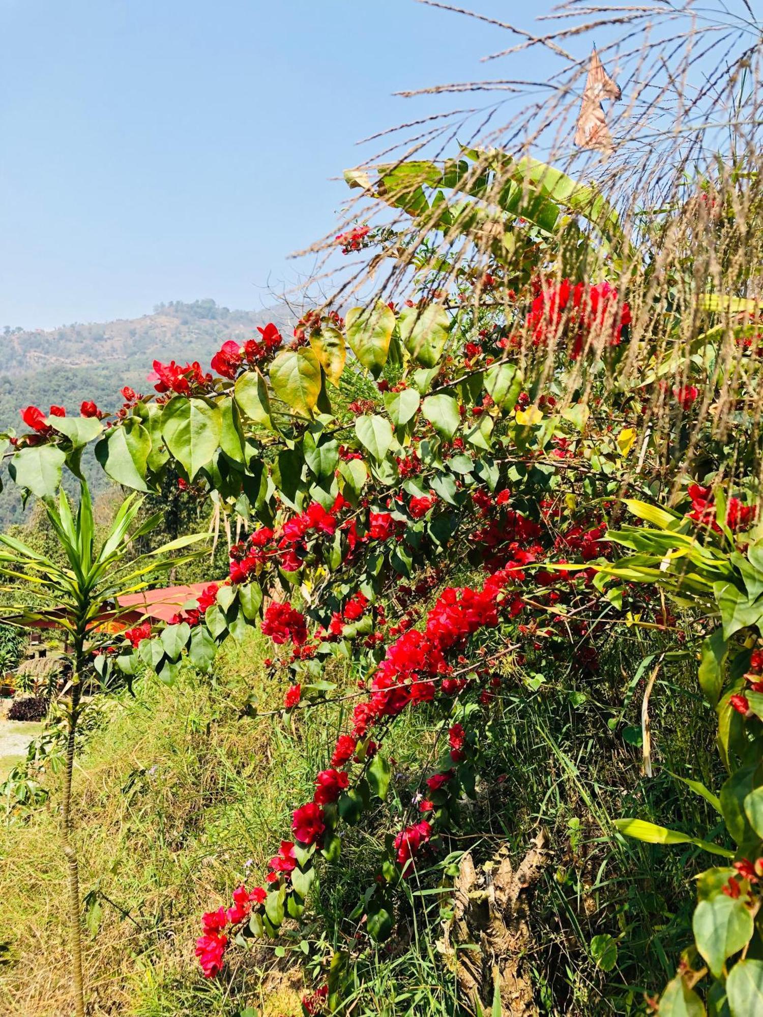 הוילה Kāskī Into The Wild Pokhara מראה חיצוני תמונה