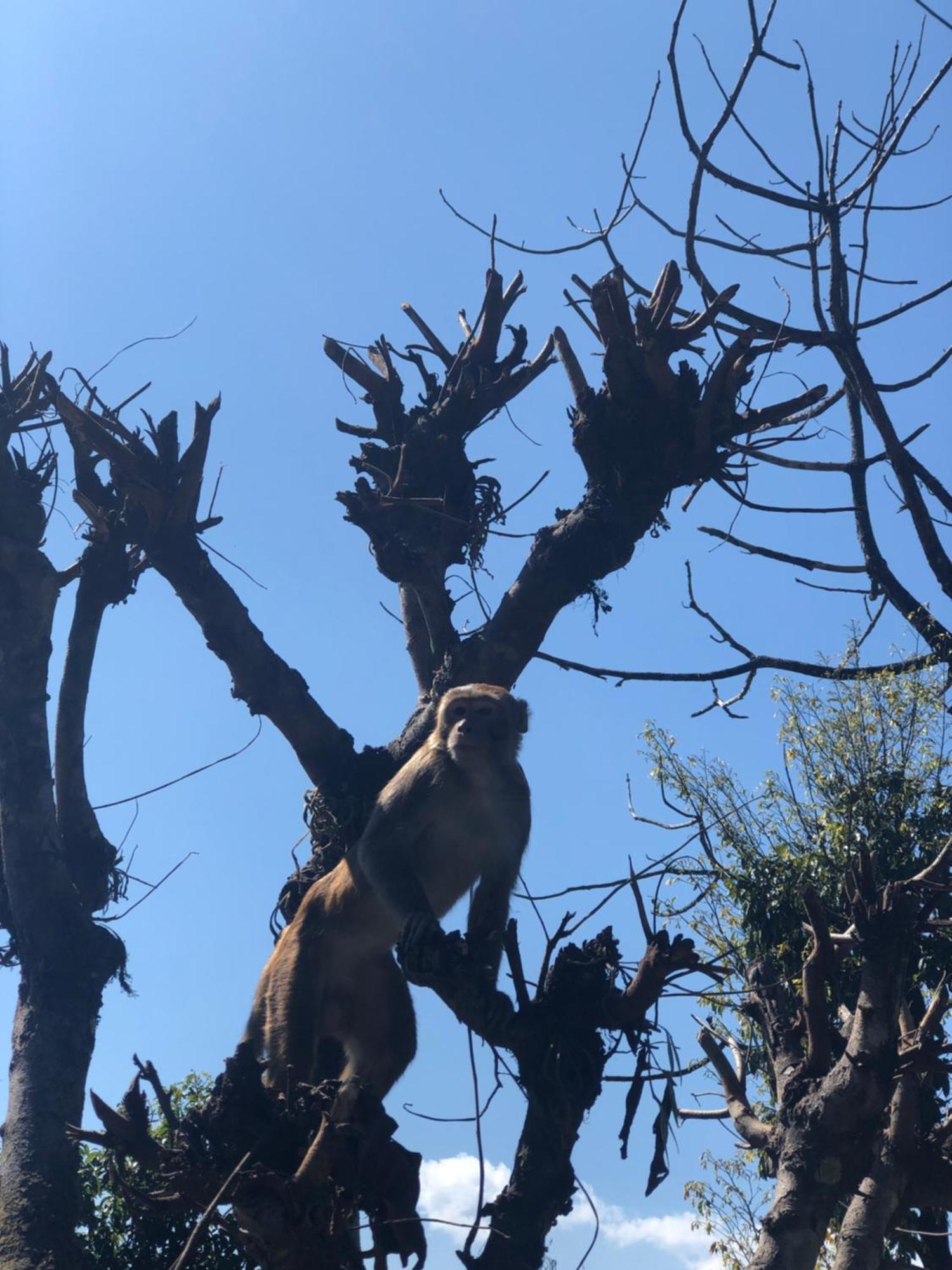 הוילה Kāskī Into The Wild Pokhara מראה חיצוני תמונה