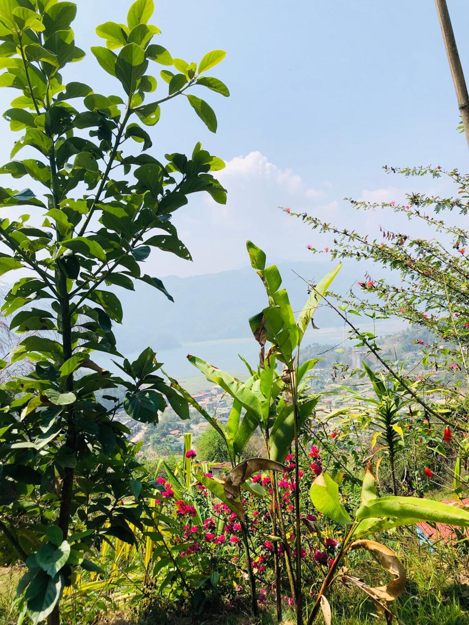 הוילה Kāskī Into The Wild Pokhara מראה חיצוני תמונה